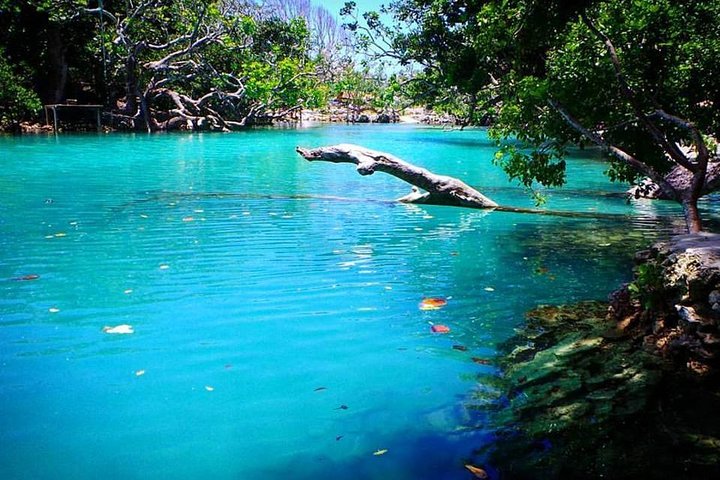 Cultural Experience & Blue Lagoon with Yumi Tours - Image 4