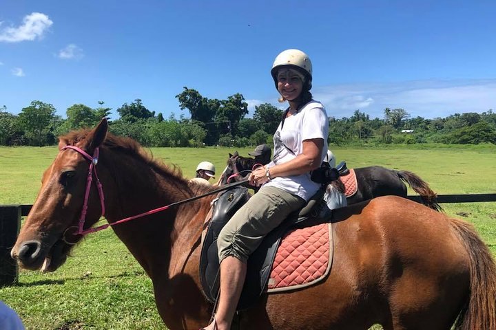 Horse Riding in Port Vila with Yumi Tours - Image 3