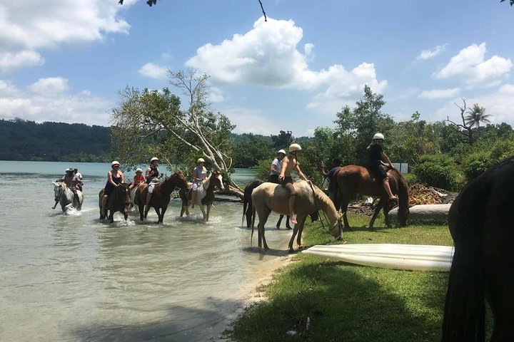 Horse Riding in Port Vila with Yumi Tours - Image 2