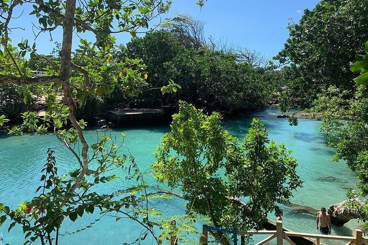 Port Vila Full Day Tour - Experience the Real Vanuatu - Image 2