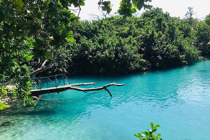 Port Vila Full Day Tour - Experience the Real Vanuatu - Image 4