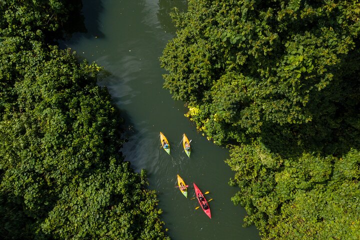 Small Group River Kayaking Tour from Port Vila - Image 2