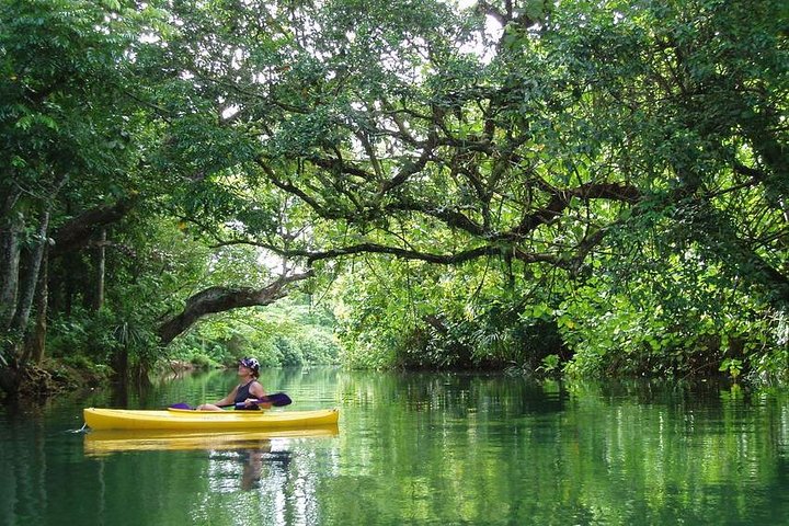 Small Group River Kayaking Tour from Port Vila - Image 1