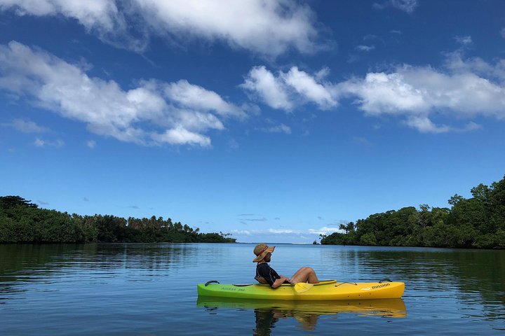 Small Group River Kayaking Tour from Port Vila - Image 4