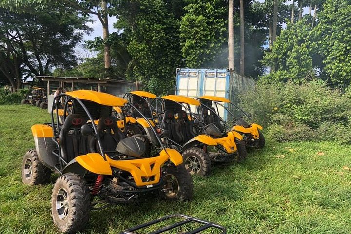 Vanuatu Buggy Adventure with Yumi Tours - Image 2