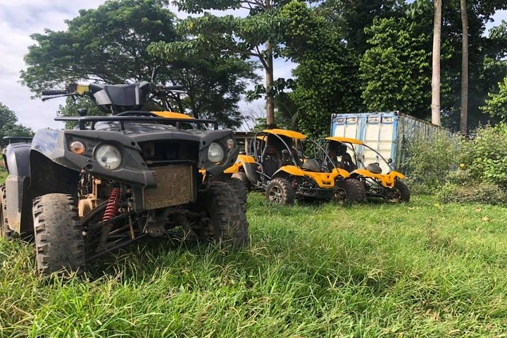 Vanuatu Buggy Adventure with Yumi Tours - Image 4