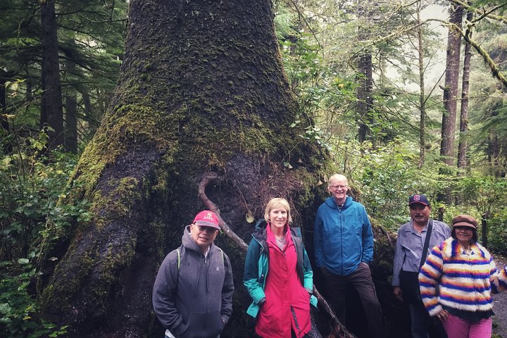 Northern Oregon Coast Day Trip to Cannon Beach Area - Image 2