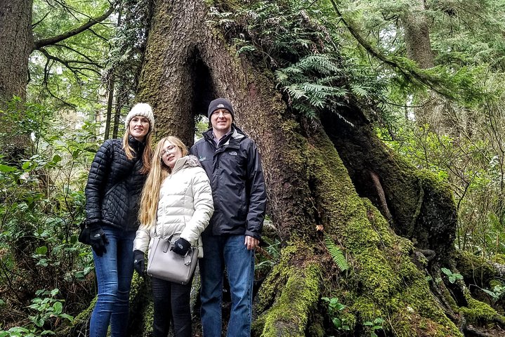 Oregon Coast Tour and Wine Tasting From Portland- Full Day Tour - Image 5