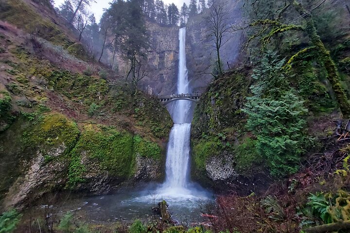 Private Columbia River Gorge Half-Day Tour - Image 1