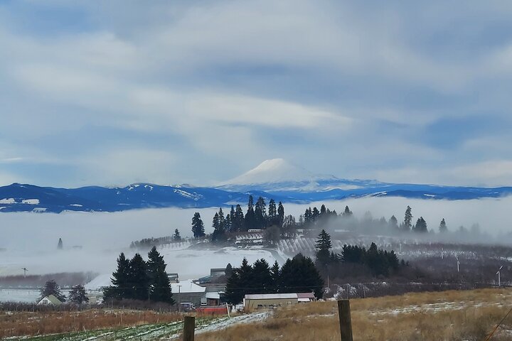 Private Mt Hood Waterfall Tour with Lunch and Wine Tasting - Image 4