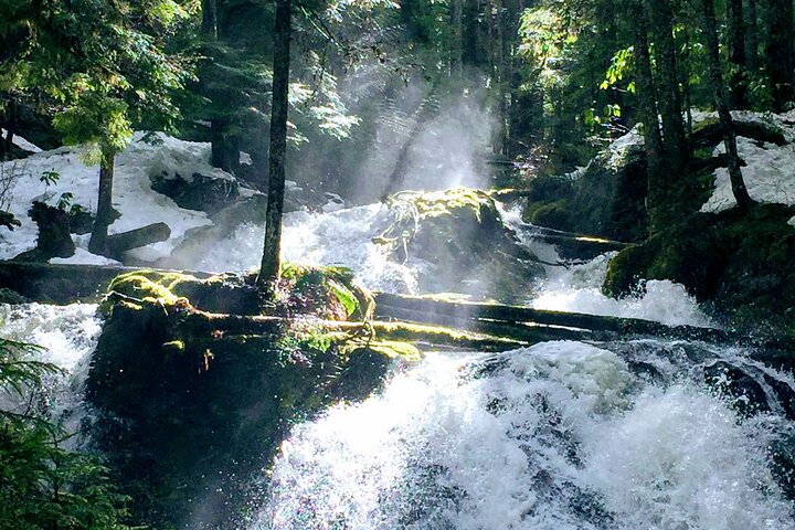 Private Tour at The Hood-Columbia Loop: Timberline, Orchards, and Waterfalls - Image 5