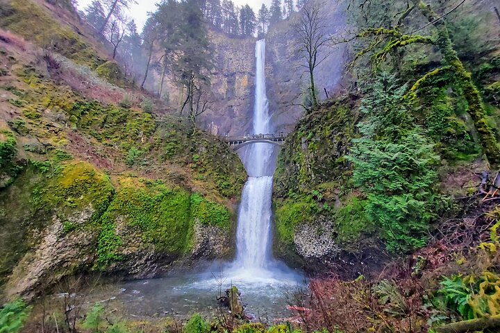 Private Tour at The Hood-Columbia Loop: Timberline, Orchards, and Waterfalls - Image 3