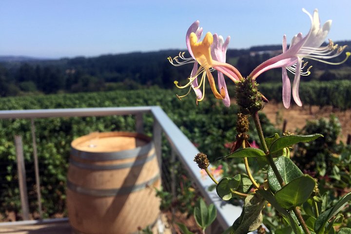 Willamette Valley Character Winery Tour - Image 1