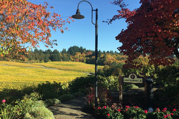 Willamette Valley Character Winery Tour - Image 5