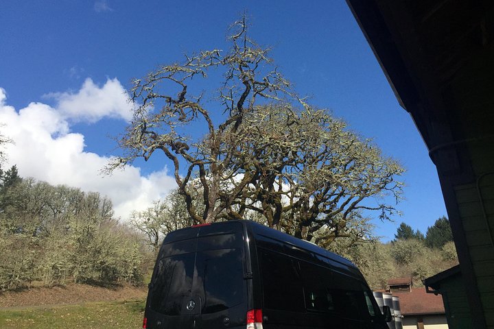 Willamette Valley Character Winery Tour - Image 3