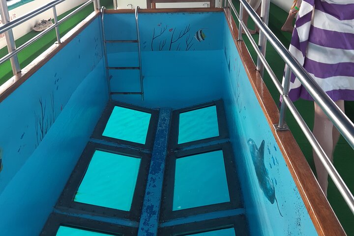 90-Minutes Glass Bottom Trip With Quick Dip  - Image 2