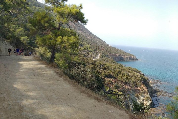 Akamas Panorama (short) Walk (private from Paphos) - Image 5