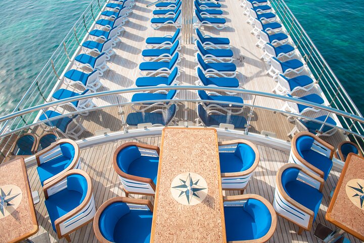 Ocean Vision | Half Day with BBQ Cruise - Image 4