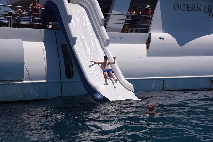 Ocean Vision | Half Day with BBQ Cruise - Image 5