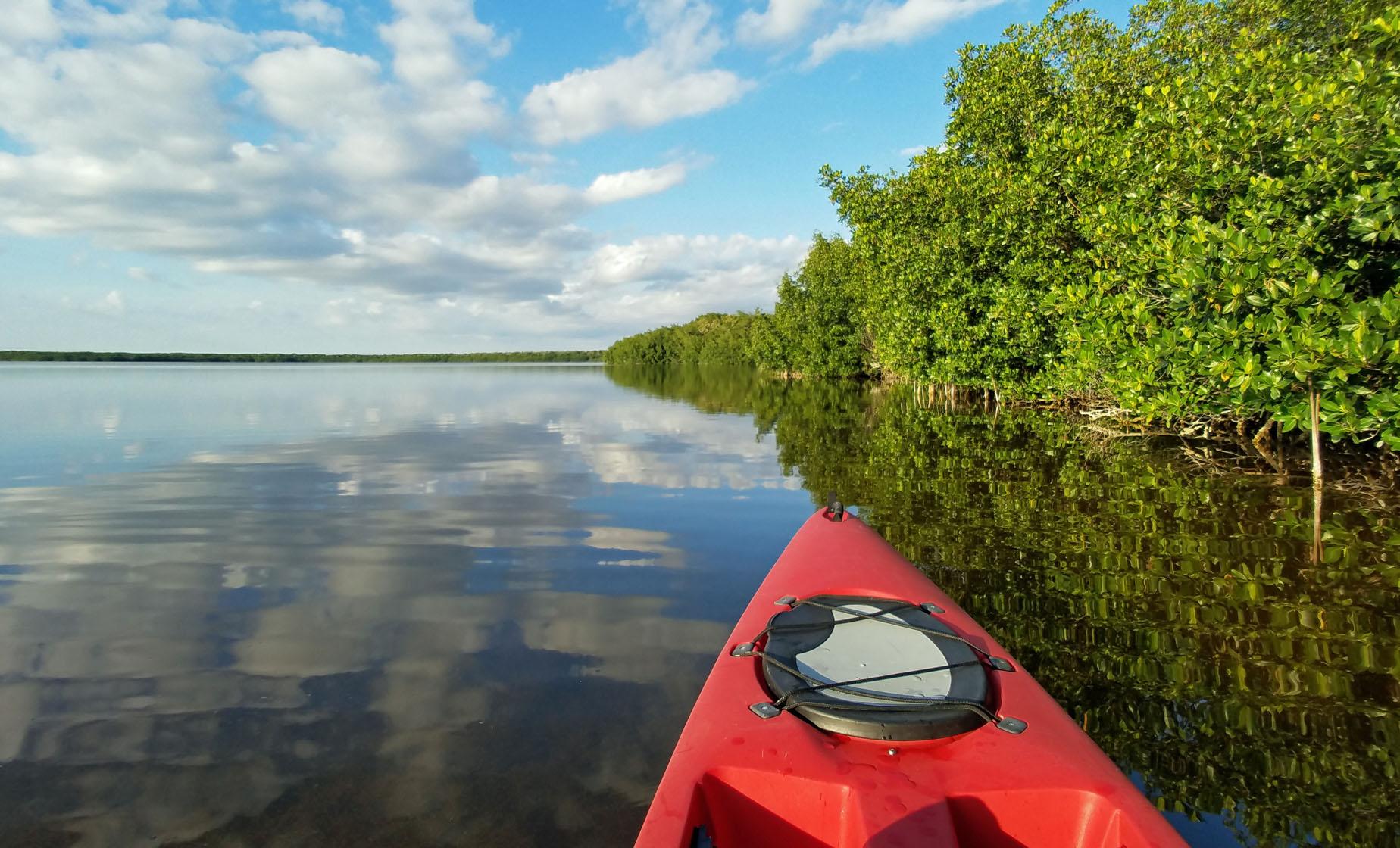 Estuary Kayak and Beach - Image 1