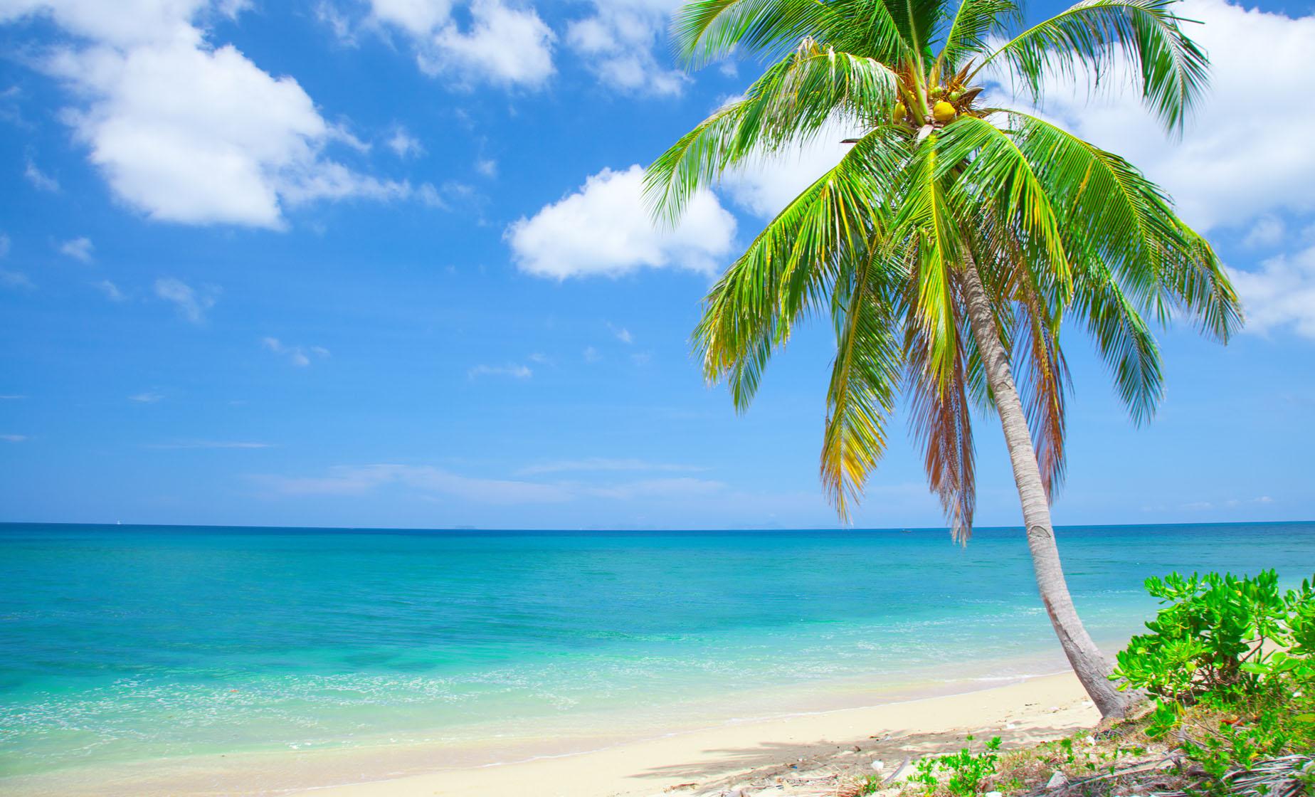 Progreso Beach Getaway (Beverage Package) - Image 1