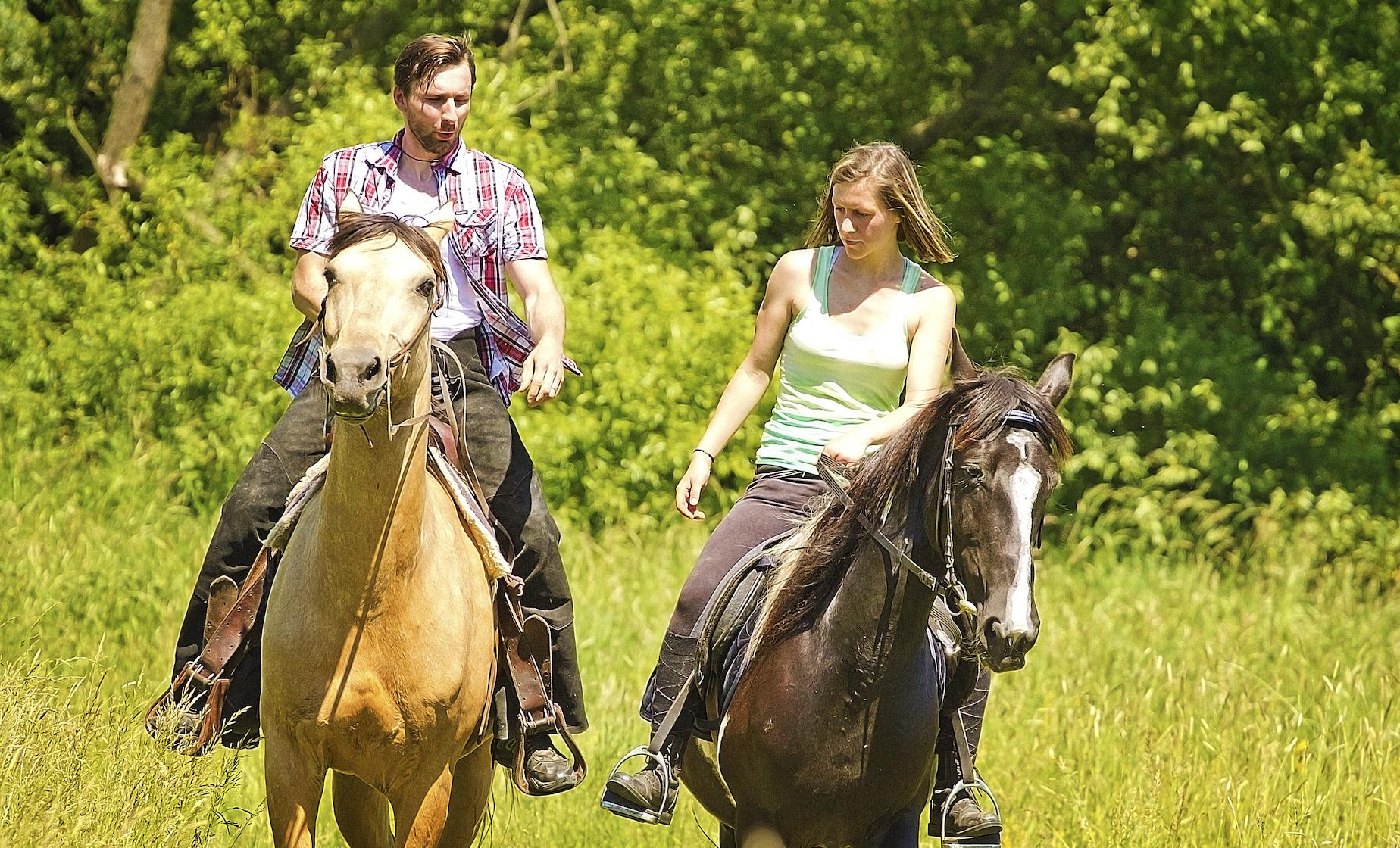 Horseback Adventure, Rivers & Rainforest - Image 1