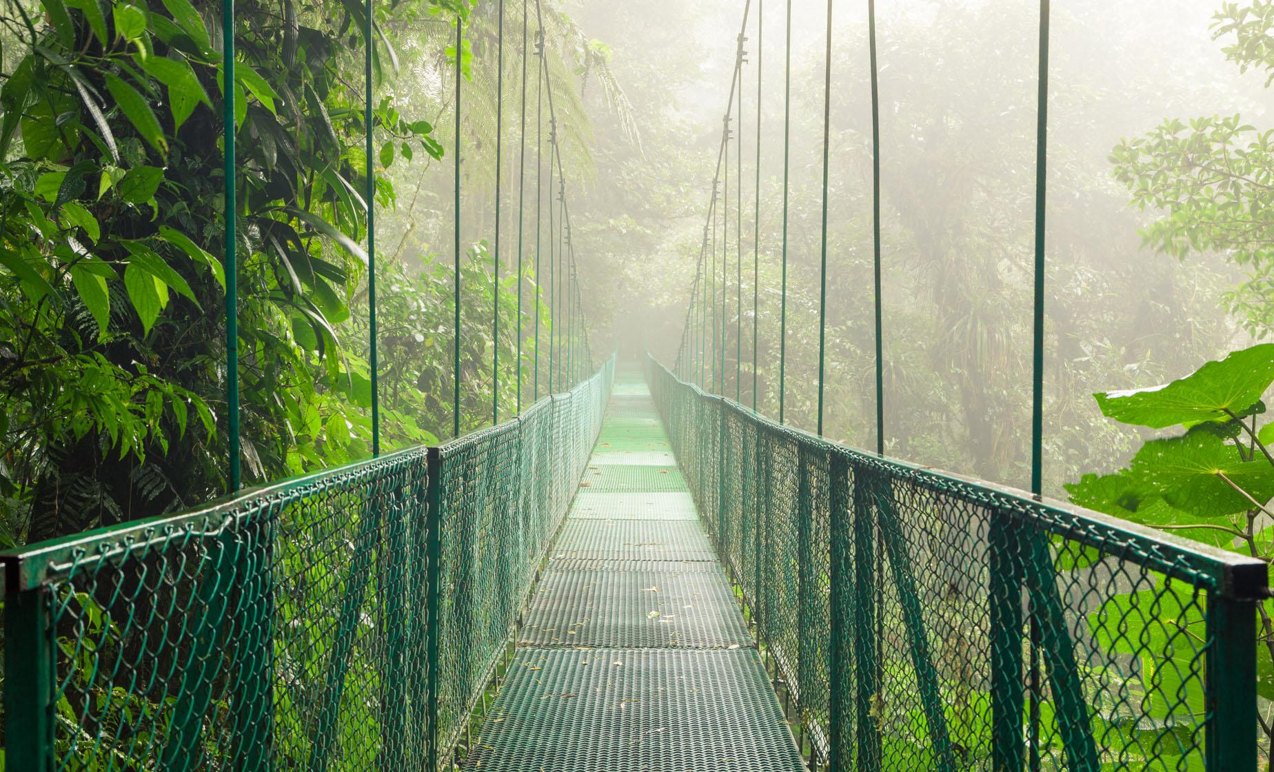Puntarenas Area Tour - Image 1