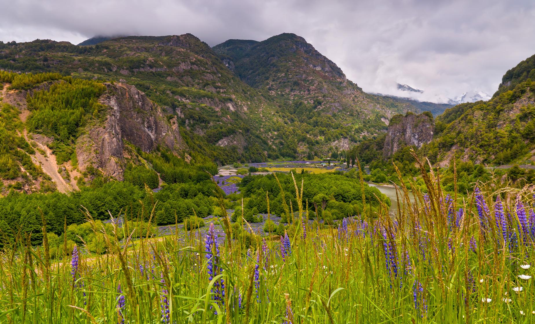Highlights of Coyhaique - Image 1