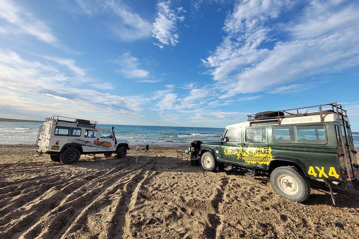 4 x 4 experience around Puerto Madryn - Image 4