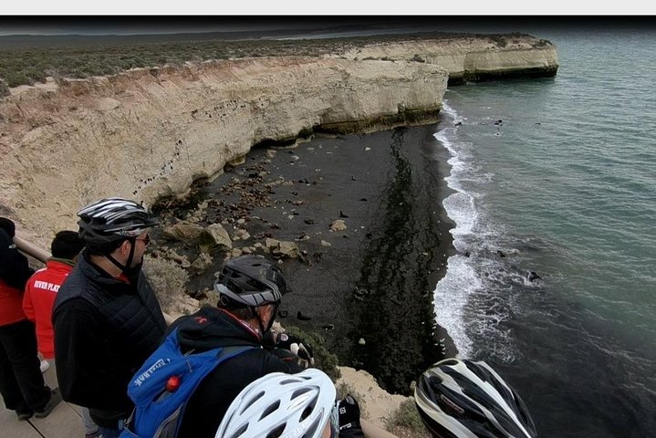 Bicycle with sea lions. Punta Loma Protected Natural Area - Image 5