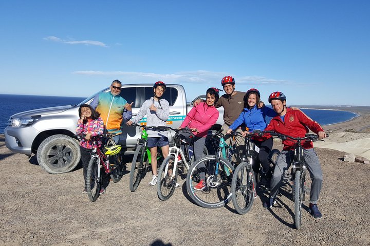 Bicycle with sea lions. Punta Loma Protected Natural Area - Image 1