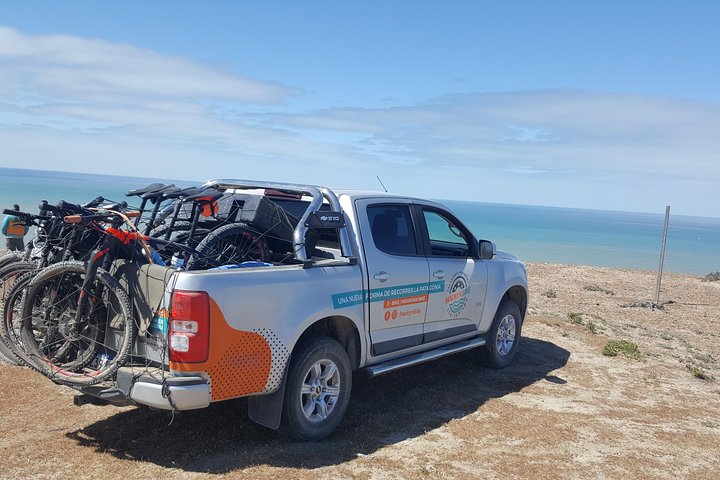 Bicycle with sea lions. Punta Loma Protected Natural Area - Image 4