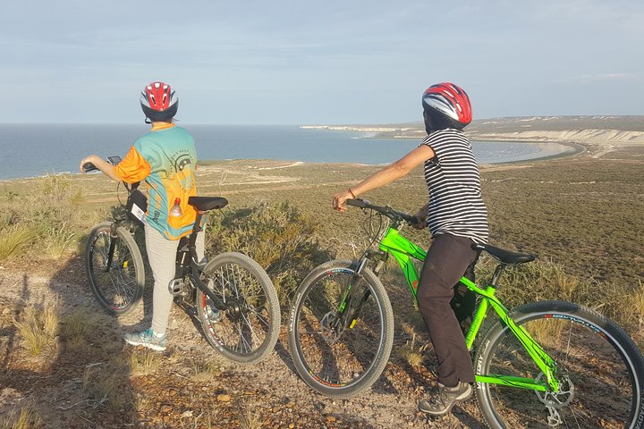 Bicycle with sea lions. Punta Loma Protected Natural Area - Image 2