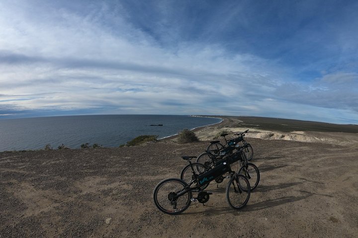 Bicycle with sea lions. Punta Loma Protected Natural Area - Image 3