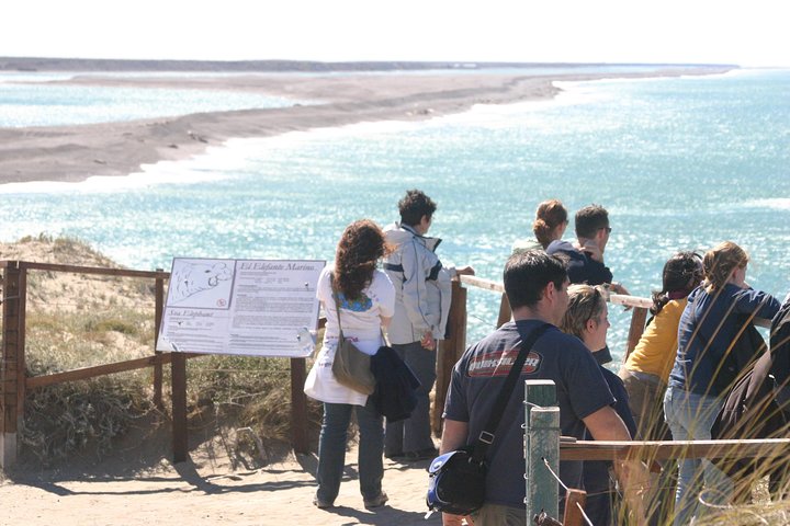 Cruise Shore Excursion Peninsula Valdes - Pto Madryn - Patagonia - Argentina - Image 4