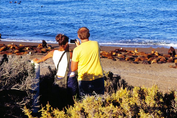 Estancia San Lorenzo Penguin Reserve and Punta Norte - Image 4