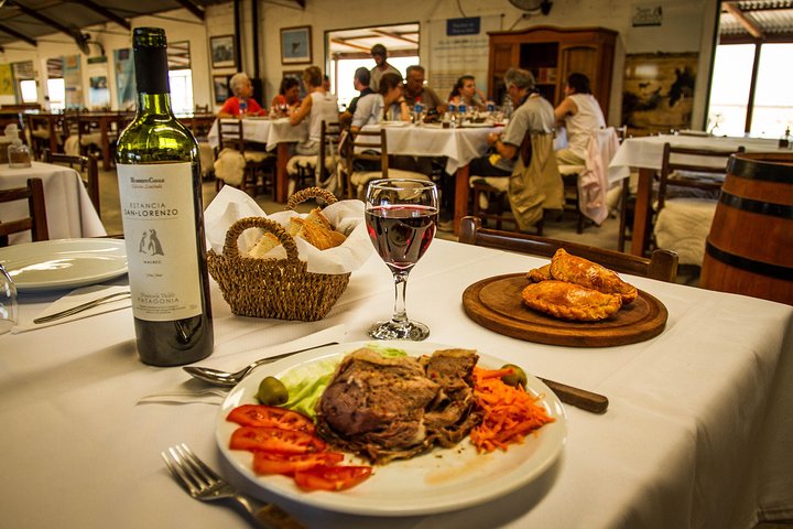 Estancia San Lorenzo Penguin Reserve and Punta Norte - Image 5