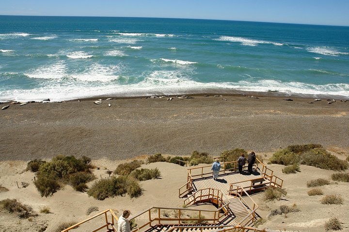 Exclusive Peninsula Valdes Nature & Wildlife with entry fee and box lunch - Image 3