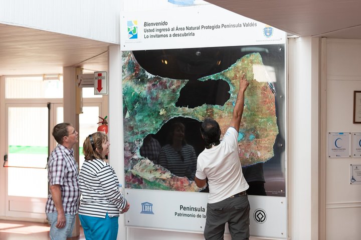 Peninsula Valdes Full Day Tour - Image 2