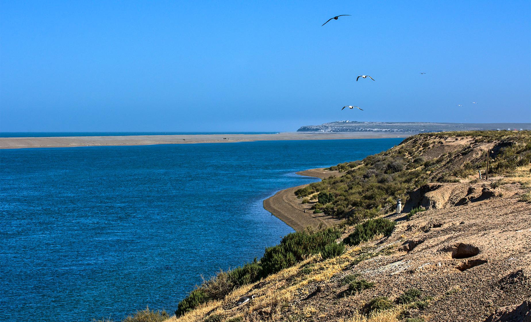 Peninsula Valdes Highlights - Image 1