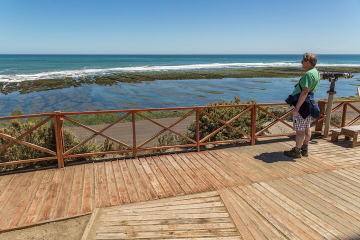 Private Shore Excursions Car (Max 4 pax) - Image 3