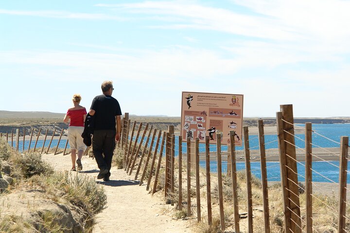 Private Shore Excursions minivan - Image 4