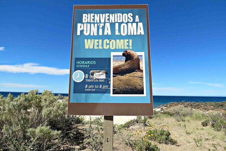 Puerto Madryn Private City Tour Including Punta Loma Sea Lions Reserve - Image 2