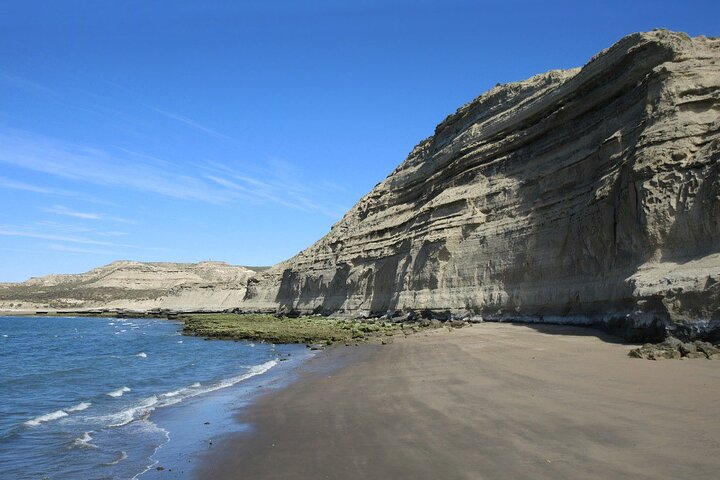 Puerto Piramides Private Tour And Sailing in Peninsula Valdes - Image 3