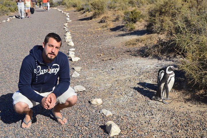 Punta Tombo Tour, the Penguin Experience - Image 4