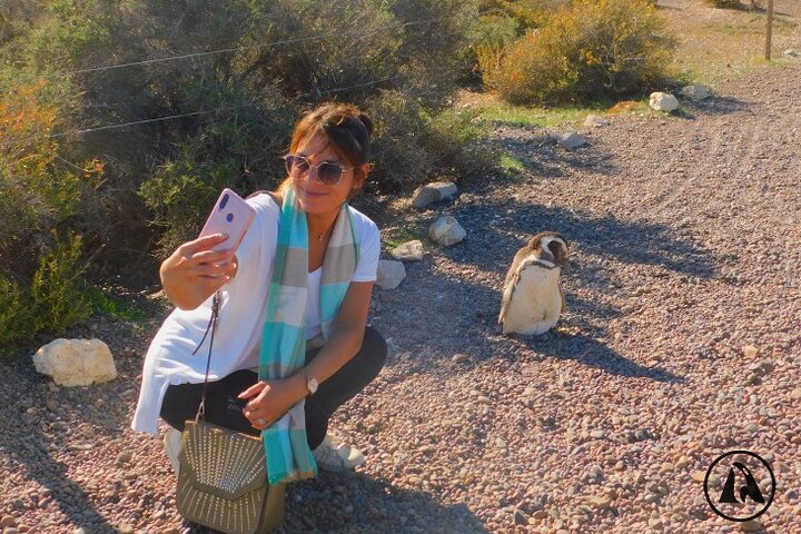 Punta Tombo with Puerto Madryn Shore Excursions Tours - Image 2