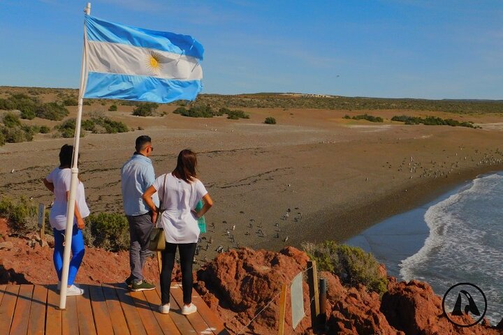 Punta Tombo with Puerto Madryn Shore Excursions Tours - Image 1
