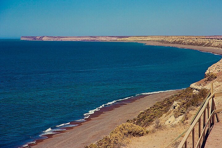 Regular Land Tour Peninsula Valdés - Image 2