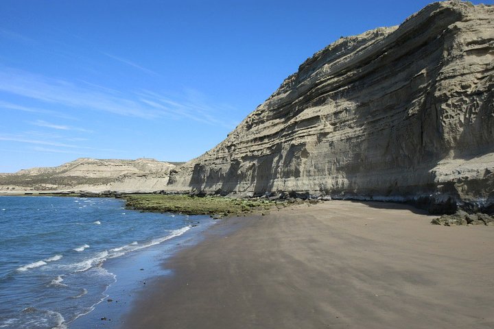 Shore Excursion Piramides Port & Sailing in Puerto Madryn - Image 4