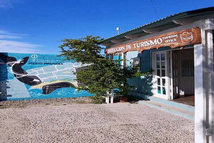 Shore Excursion Piramides Port & Sailing in Puerto Madryn - Image 5